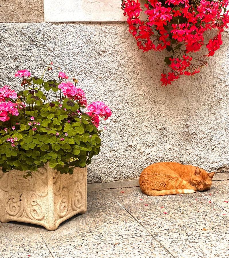 G-House Modernes Apartment Mit Tollem Ausblick Ρίβα ντελ Γκάρντα Εξωτερικό φωτογραφία